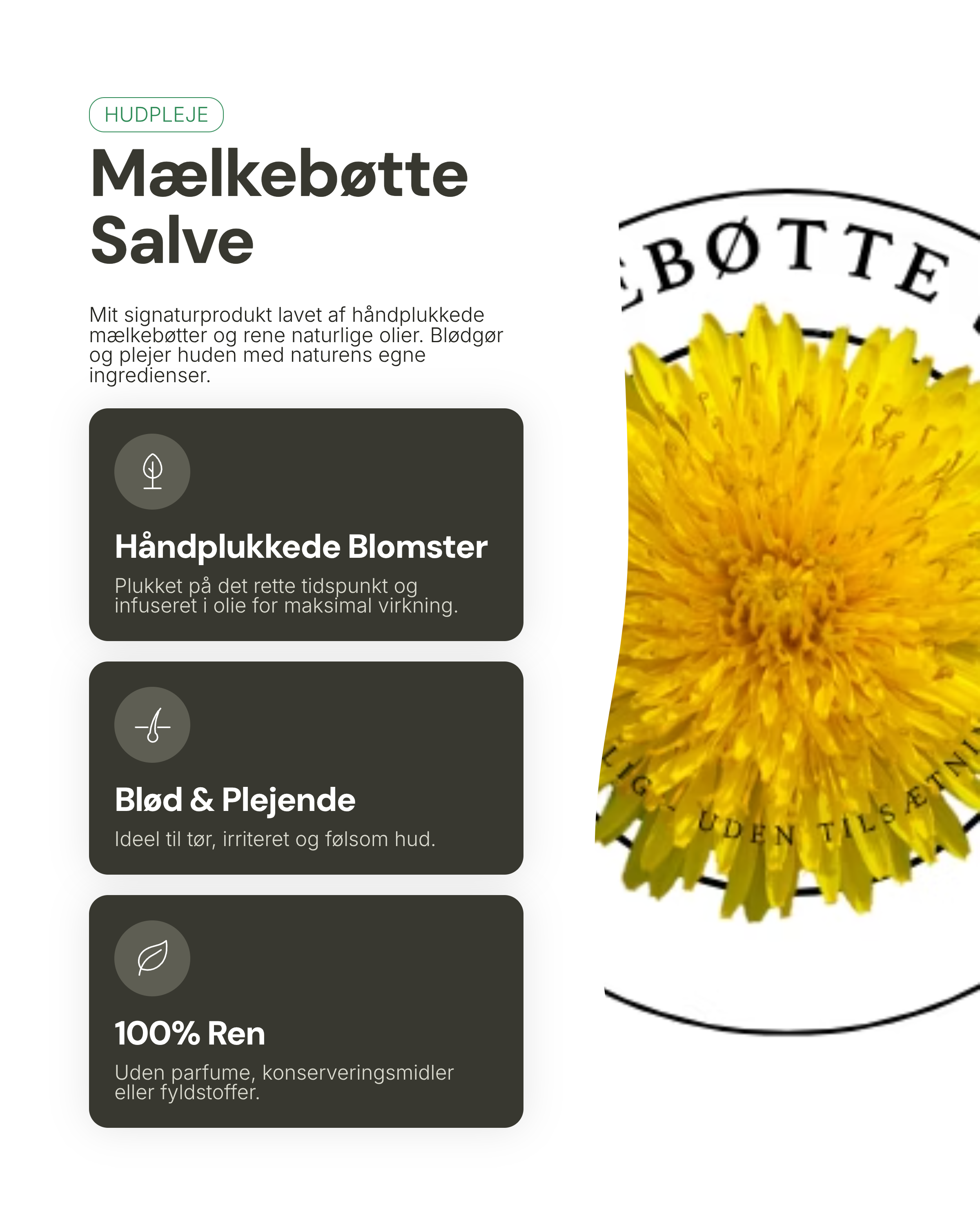 Mælkebøttesalve - Naturlig hudpleje