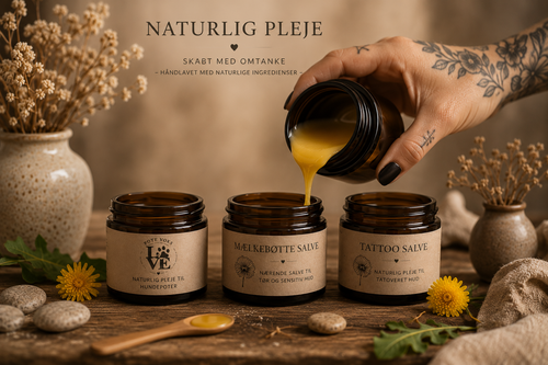 Mælkebøttesalve - Naturlig hudpleje