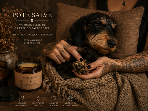 Hunde potesalve -  Naturlig pleje til hundepoter